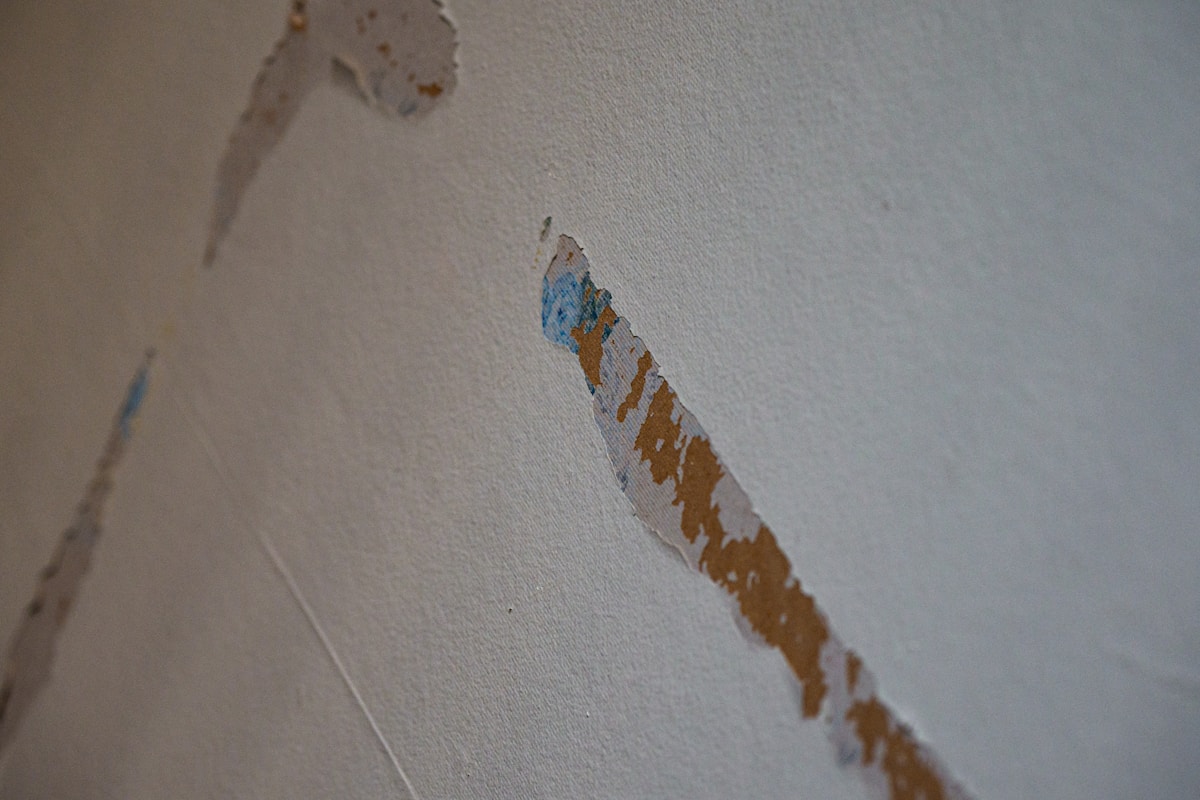Structural Drying service in Newport Beach, CA